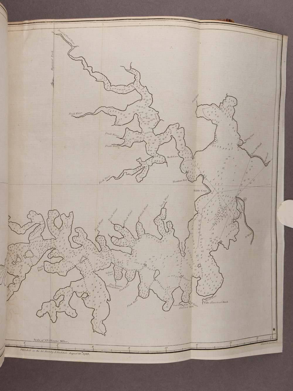 Plate 14 right